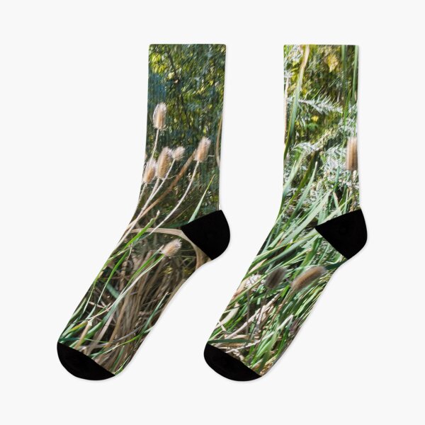 Item preview, Scenic forest and mountain nature designed and sold by Ventures1.