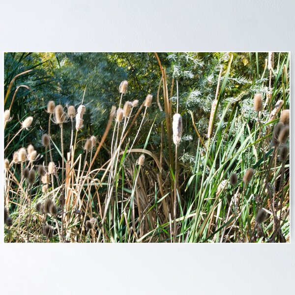 Item preview, Scenic forest and mountain nature designed and sold by Ventures1.
