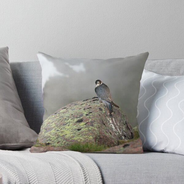 Item preview, Peregrine Falcon  designed and sold by sandysshoots.