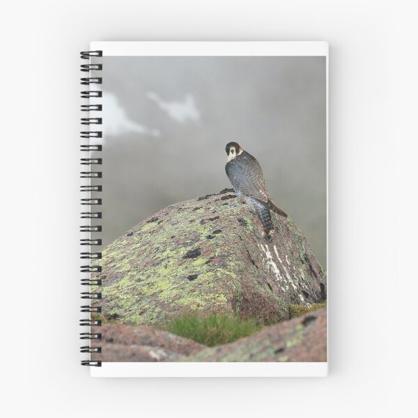 Item preview, Peregrine Falcon  designed and sold by sandysshoots.