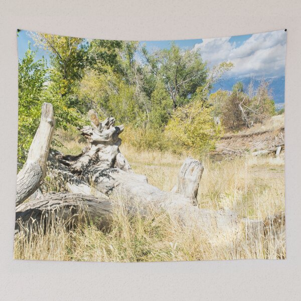 Item preview, Scenic forest and mountain natureCopy of Scenic forest and mountain nature designed and sold by Ventures1.