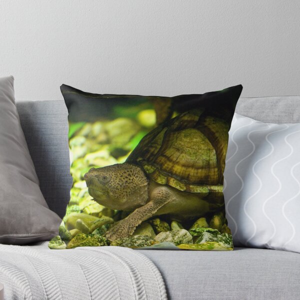 Item preview, Razorback Musk Turtle designed and sold by Diego Re.