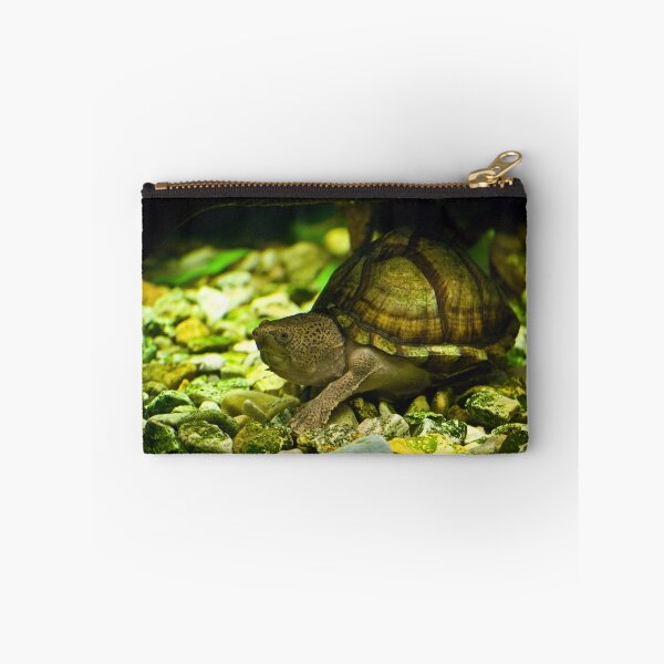 Item preview, Razorback Musk Turtle designed and sold by Diego Re.