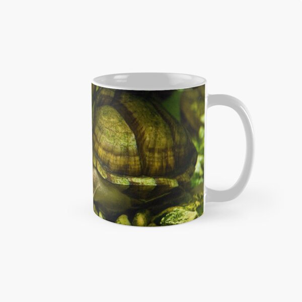 Item preview, Razorback Musk Turtle designed and sold by Diego Re.