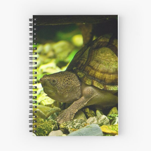 Item preview, Razorback Musk Turtle designed and sold by Diego Re.