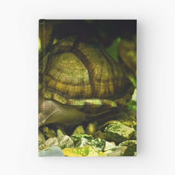 Item preview, Razorback Musk Turtle designed and sold by Diego Re.