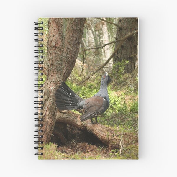 Item preview, Capercaillie designed and sold by sandysshoots.