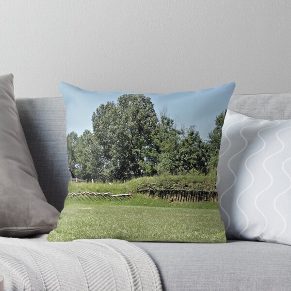 Item preview, 1814 American Fort Panorama designed and sold by jtrommer.