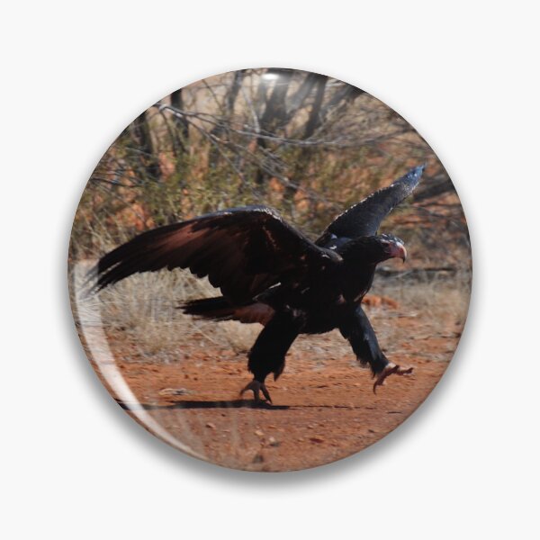 Item preview, Eagle Running, Stuart Highway, Australia 20190910 designed and sold by muz2142.