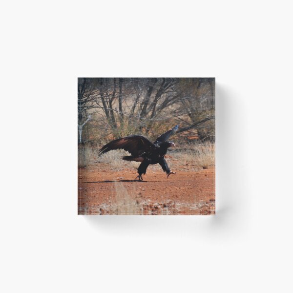 Item preview, Eagle Running, Stuart Highway, Australia 20190910 designed and sold by muz2142.