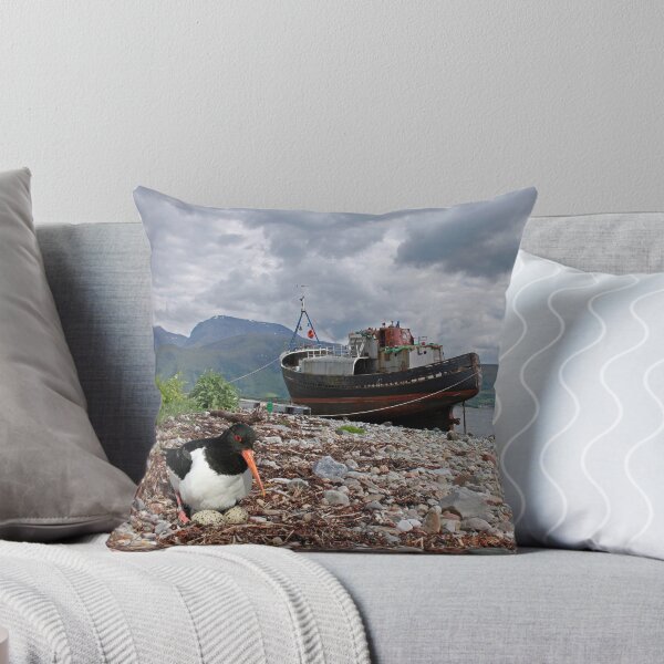 Item preview, Oyster Catcher, Ben Nevis designed and sold by sandysshoots.