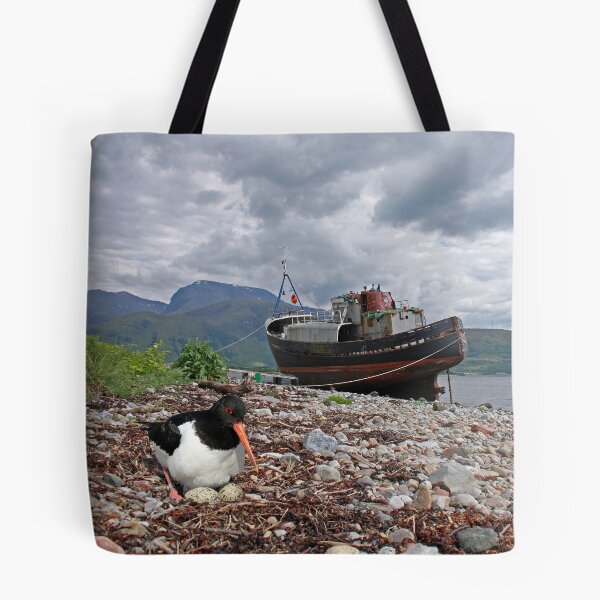 Item preview, Oyster Catcher, Ben Nevis designed and sold by sandysshoots.