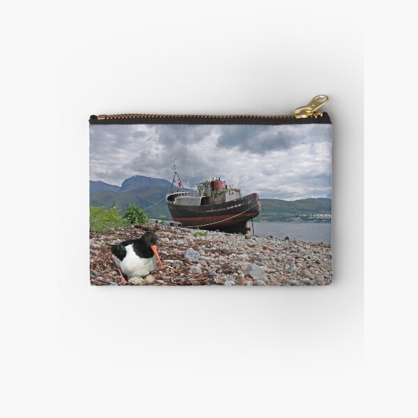 Item preview, Oyster Catcher, Ben Nevis designed and sold by sandysshoots.