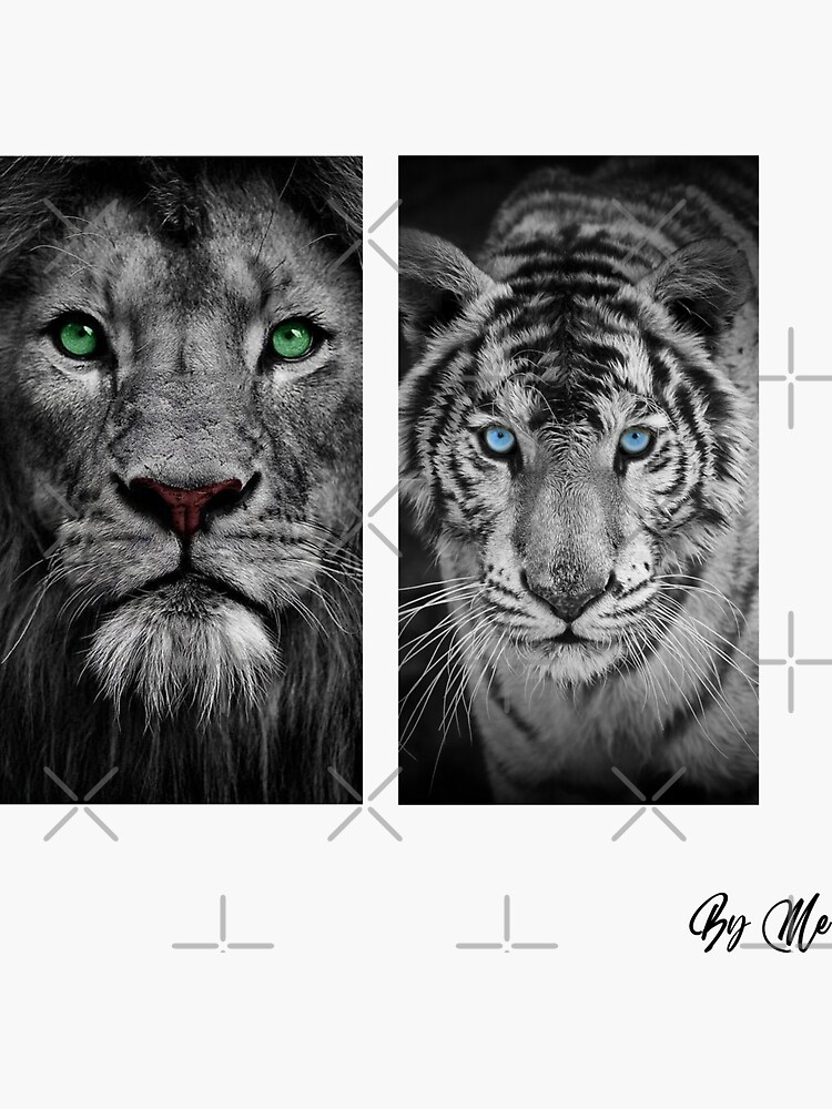 "Lion and Tiger Framed Wall Art" Sticker for Sale by SupremeMart