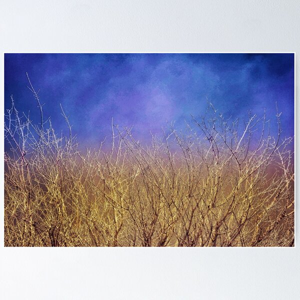 Item preview, "Tierra y Cielo" designed and sold by Holly Tomás Design.