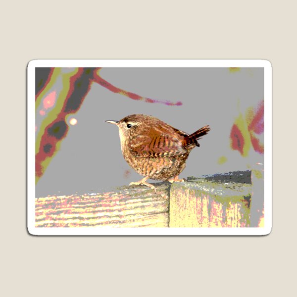 Item preview, Wren designed and sold by sandysshoots.