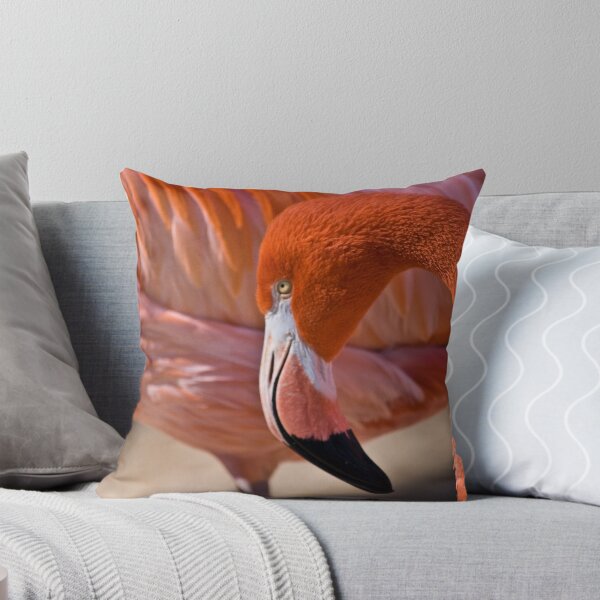 Item preview, Flaming Flamingo designed and sold by Diego Re.