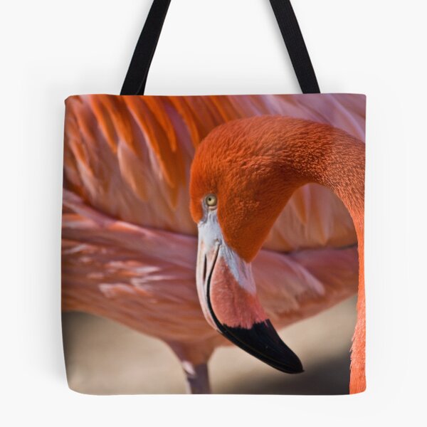 Item preview, Flaming Flamingo designed and sold by Diego Re.