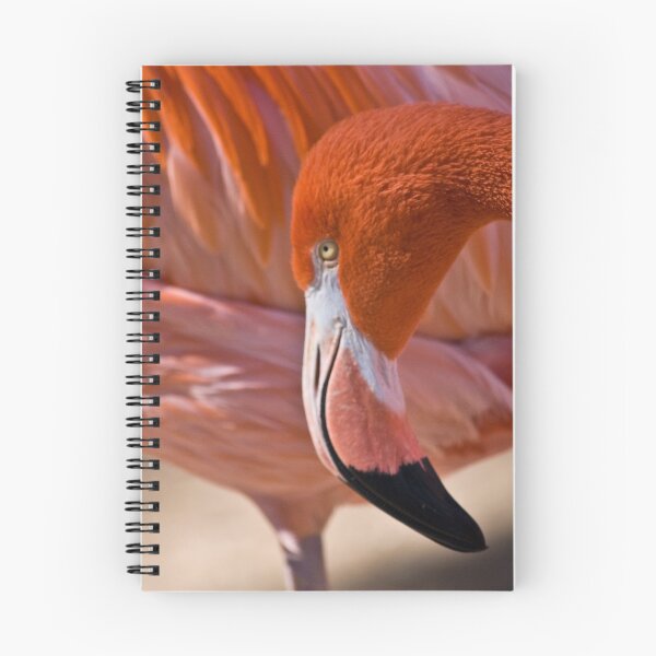 Item preview, Flaming Flamingo designed and sold by Diego Re.