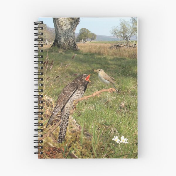 Item preview, Strath Brora, Cuckoo designed and sold by sandysshoots.