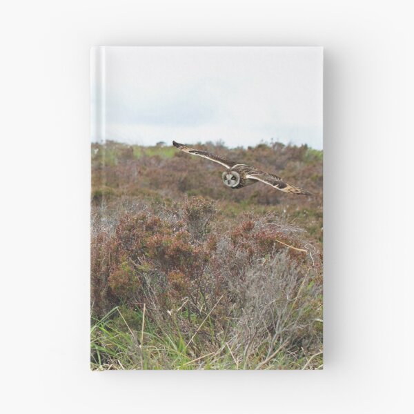 Item preview, Short-eared Owl by Nest designed and sold by sandysshoots.