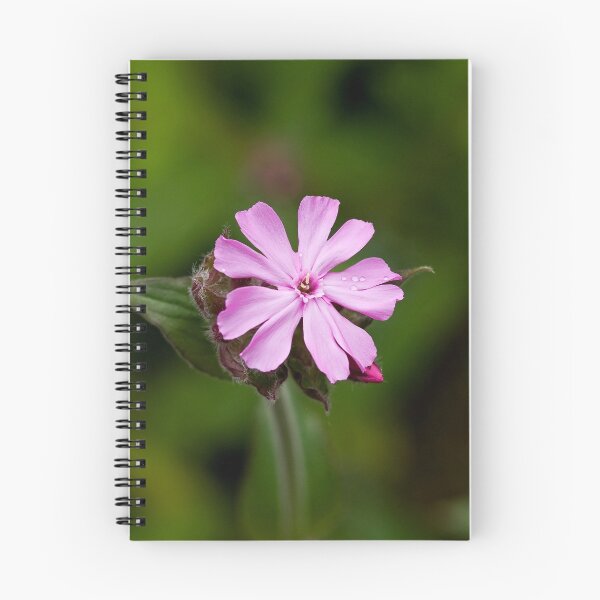 Item preview, Red Campion designed and sold by Sue Robinson.