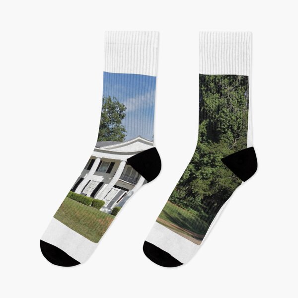 Item preview, The Pillars - 1856 Plantation House 1 designed and sold by jtrommer.