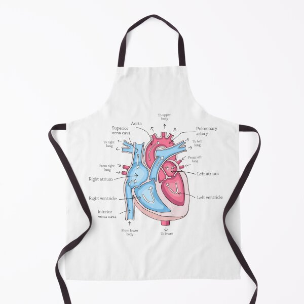 Item preview, poster of human heart anatomy with hand written labels of the main parts designed and sold by MR-PAUSED.