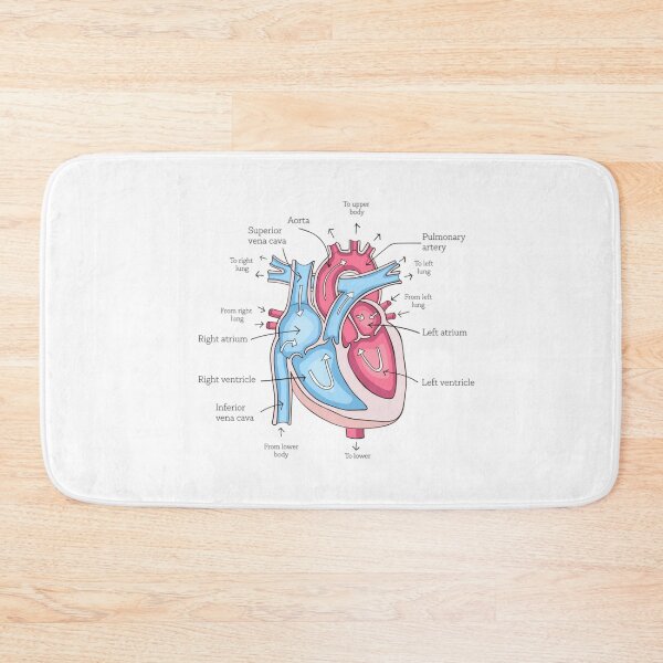 Item preview, poster of human heart anatomy with hand written labels of the main parts designed and sold by MR-PAUSED.