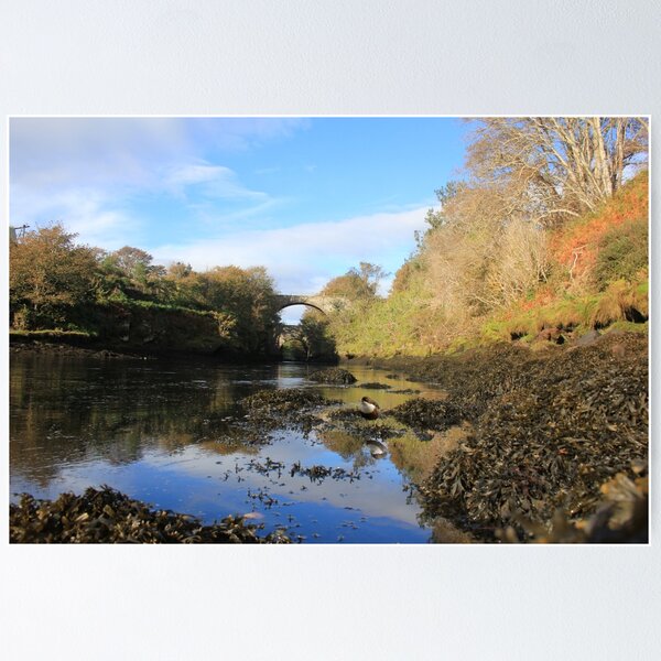 Item preview, Brora River, Dipper designed and sold by sandysshoots.