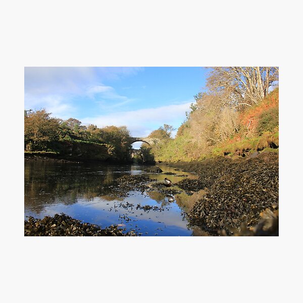 Item preview, Brora River, Dipper designed and sold by sandysshoots.