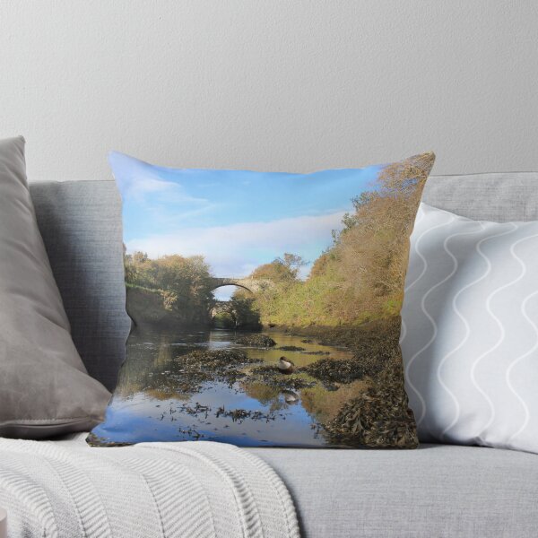 Item preview, Brora River, Dipper designed and sold by sandysshoots.