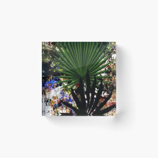 Item preview, Palm extract designed and sold by Aquila Light Pictures.