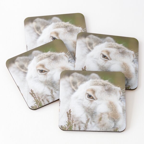 Item preview, white wild rabbit designed and sold by chanonry.