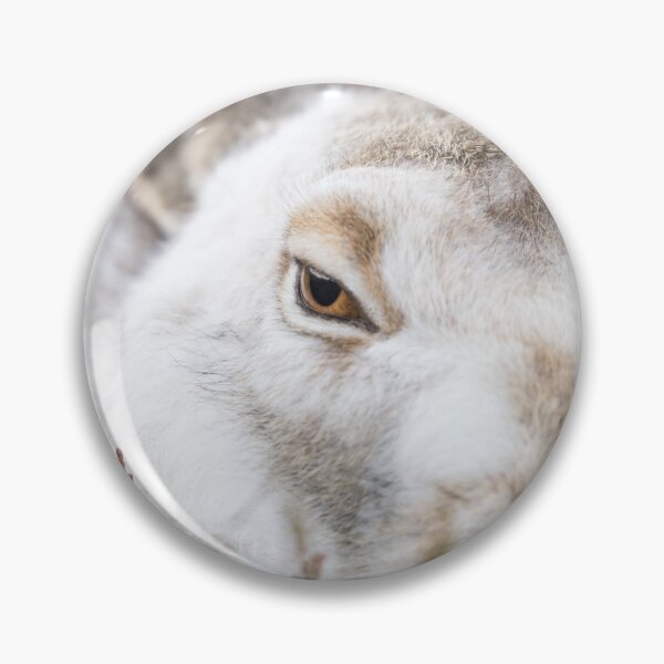 Item preview, white wild rabbit designed and sold by chanonry.