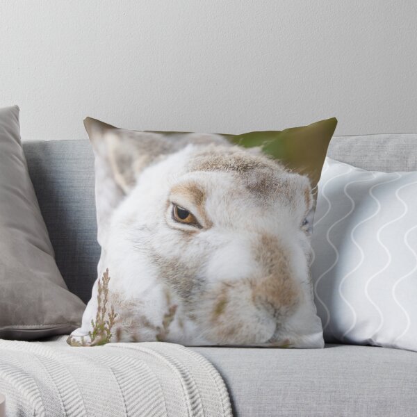 Item preview, white wild rabbit designed and sold by chanonry.