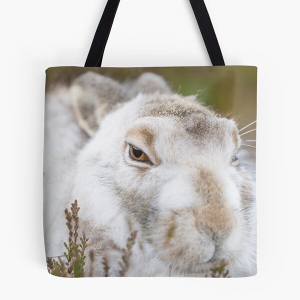 Item preview, white wild rabbit designed and sold by chanonry.