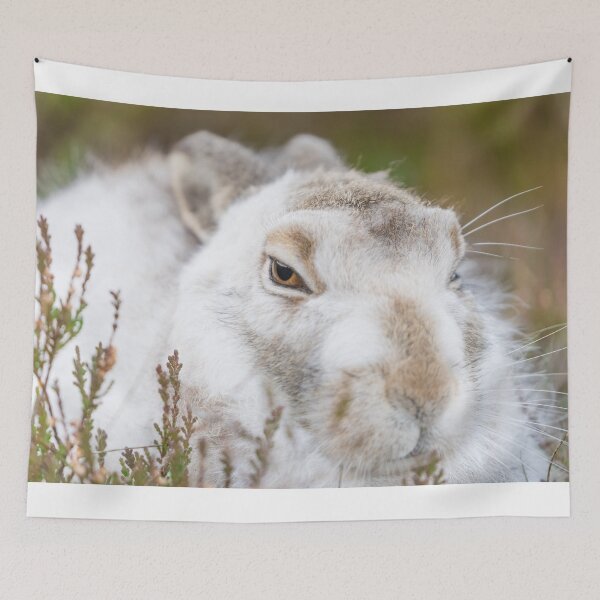 Item preview, white wild rabbit designed and sold by chanonry.