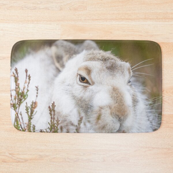 Item preview, white wild rabbit designed and sold by chanonry.