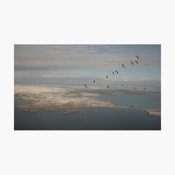 Item preview, Stornoway designed and sold by sandysshoots.