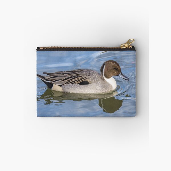 Item preview, Northern Pintail  designed and sold by May Finch.