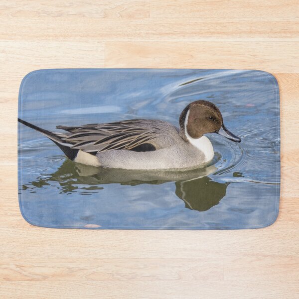 Item preview, Northern Pintail  designed and sold by May Finch.