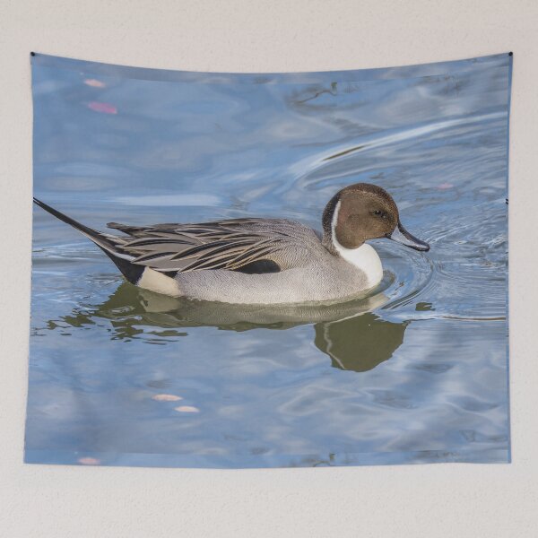 Item preview, Northern Pintail  designed and sold by May Finch.