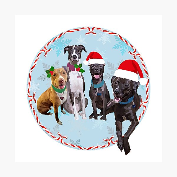 Item preview, Joy to the Pitties designed and sold by hegdesigns.