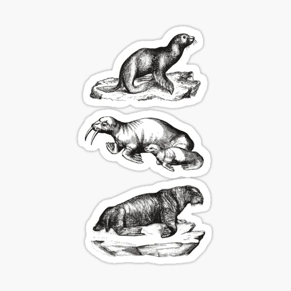 "Seals" Sticker by HokuKai Redbubble