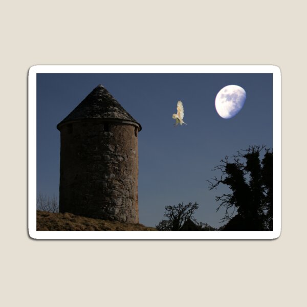 Item preview, Barn Owl, Clynekirkton designed and sold by sandysshoots.
