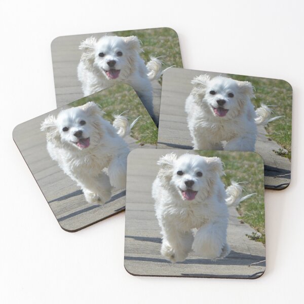 Item preview, Dog Running Free, Cocker Spaniel, Mutt, Fluffy designed and sold by naturecdesigns.
