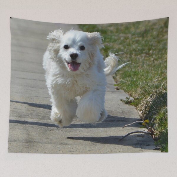 Item preview, Dog Running Free, Cocker Spaniel, Mutt, Fluffy designed and sold by naturecdesigns.
