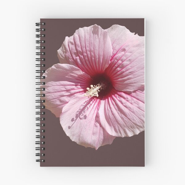 Item preview, Pink hibiscus sticker zoom macro designed and sold by NatureNature.