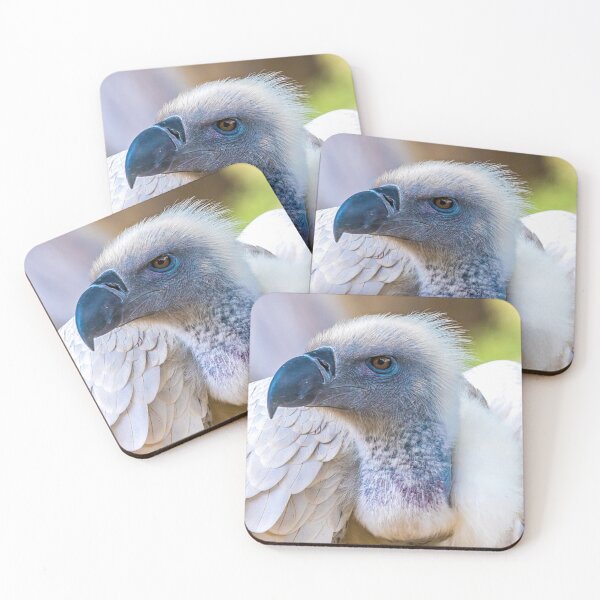 Item preview, African White Backed Vulture designed and sold by May Finch.